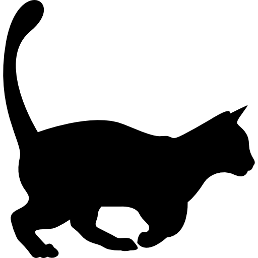 Domestic cat shape